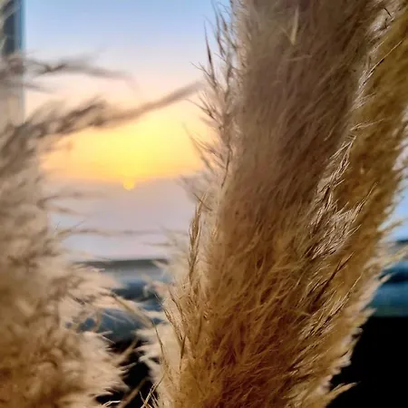 Apartment Bella-vista Endless Views Over The Ocean La Matanza De Acentejo