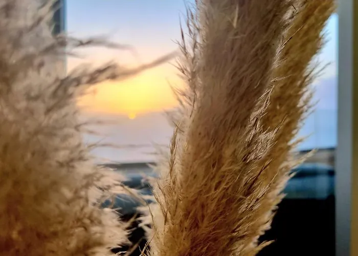 Apartment Bella-vista Endless Views Over The Ocean La Matanza De Acentejo